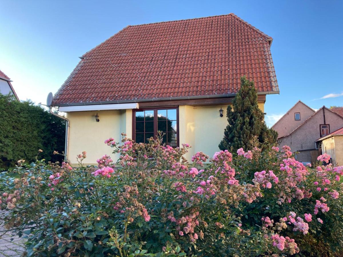 Am Weissfrauenbach Apartment Erfurt